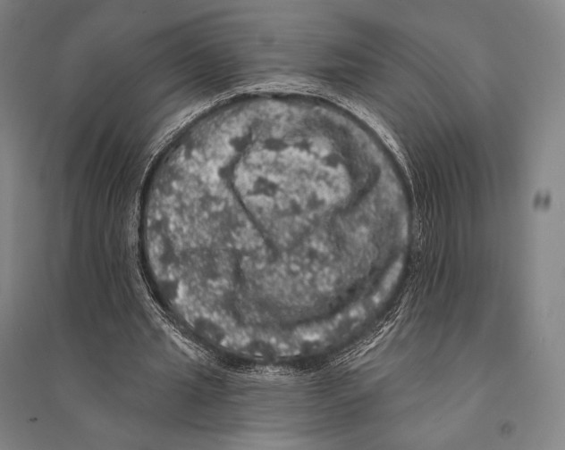 X0000095510437200801111416