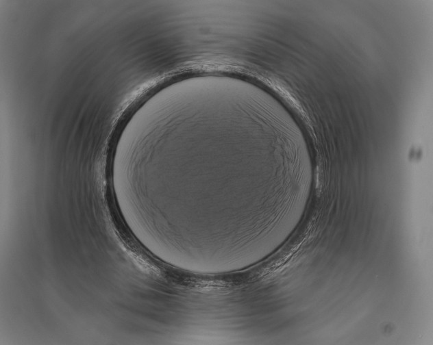 X0000095510438200801111416