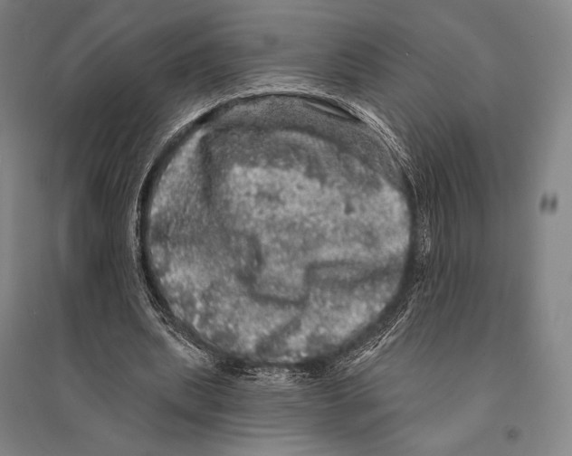 X0000095510439200801111416