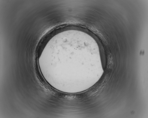 X0000095510440200801111416