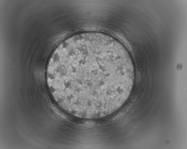 X0000095510441200801111416