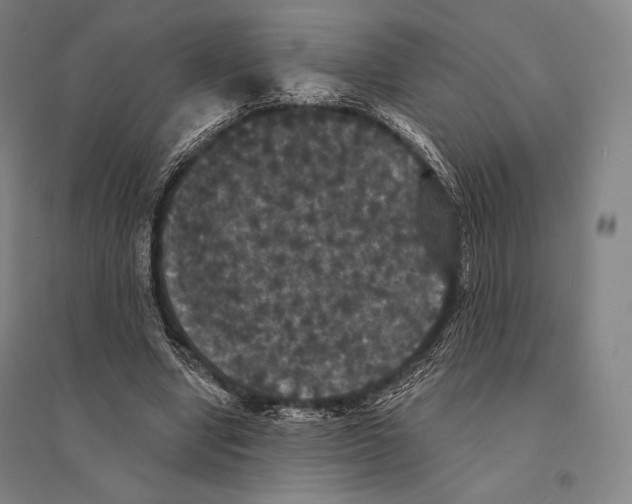 X0000095510442200801111416