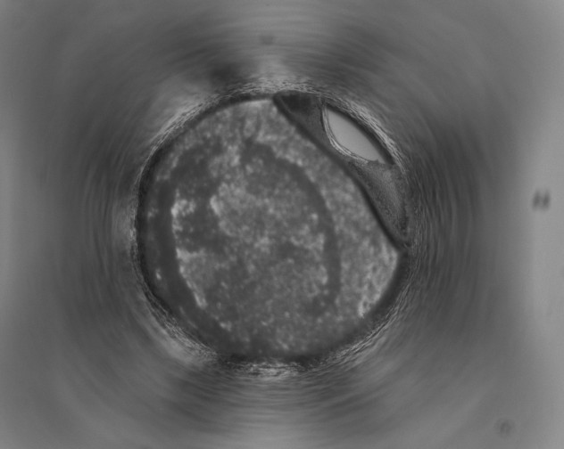 X0000095510443200801111416