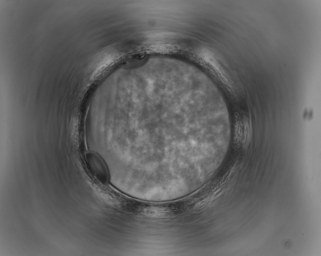 X0000095510444200801111416