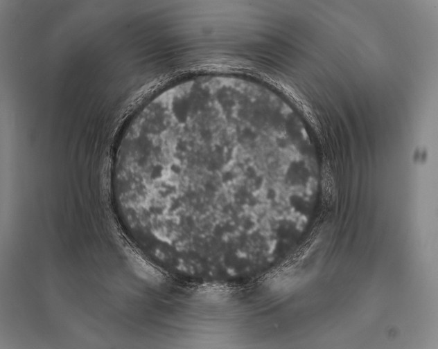 X0000095510445200801111416