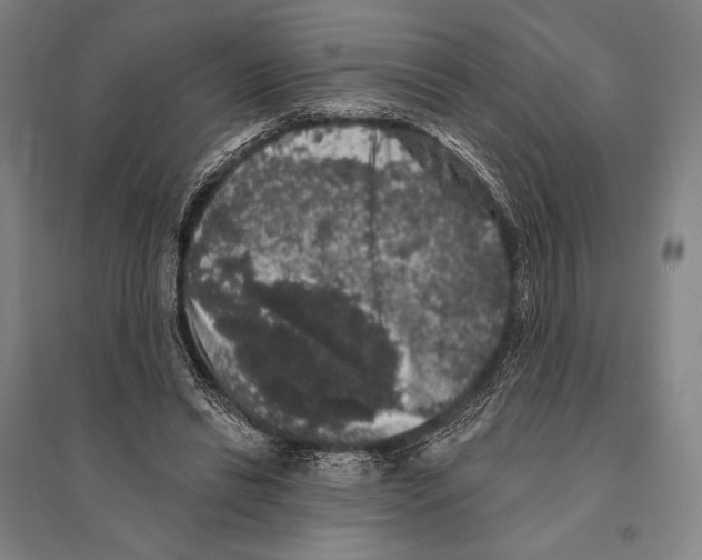 X0000095510446200801111417