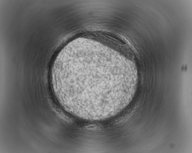 X0000095510447200801111417