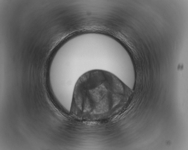 X0000095510448200801111417