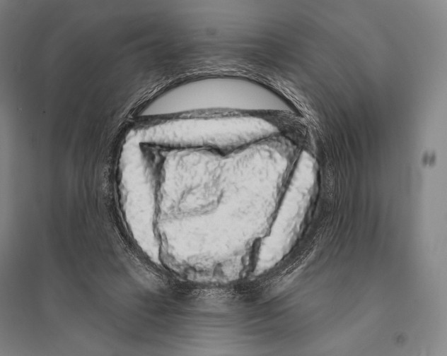X0000095510449200801111417