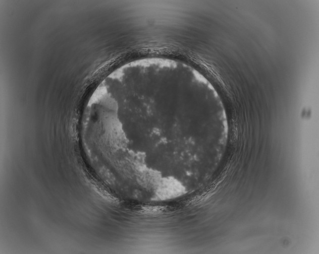 X0000095510450200801111417