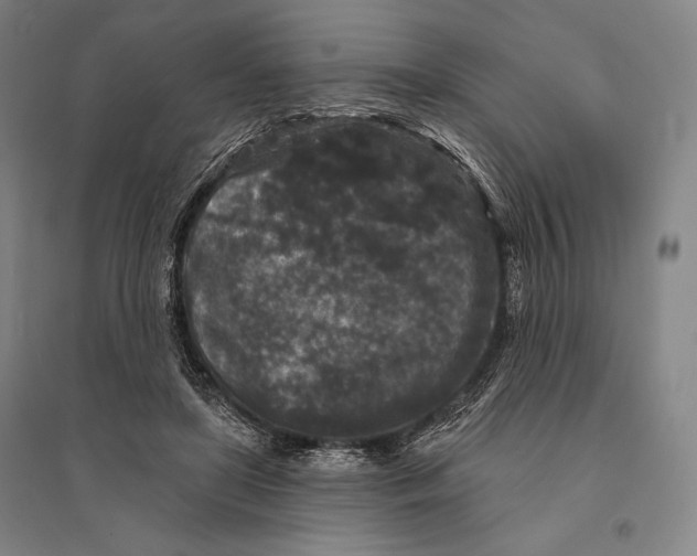 X0000095510451200801111417