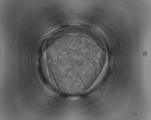 X0000095510452200801111417