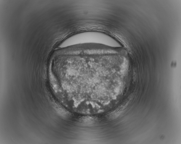 X0000095510453200801111417
