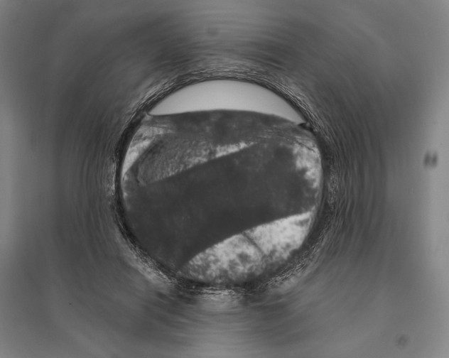 X0000095510454200801111417