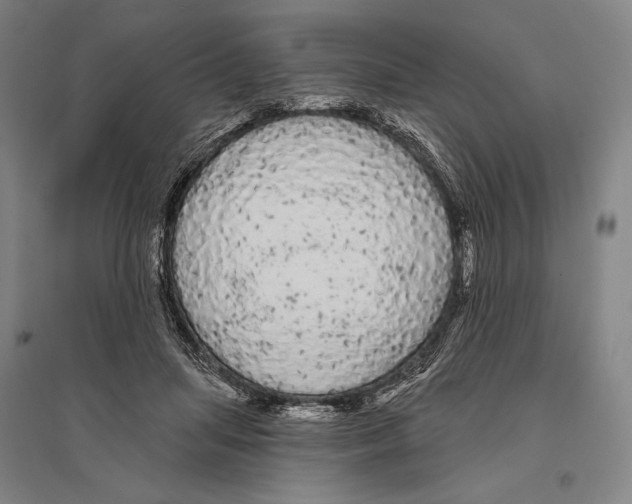 X0000095510455200801111417