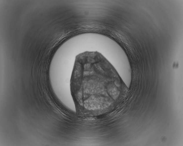 X0000095510456200801111417