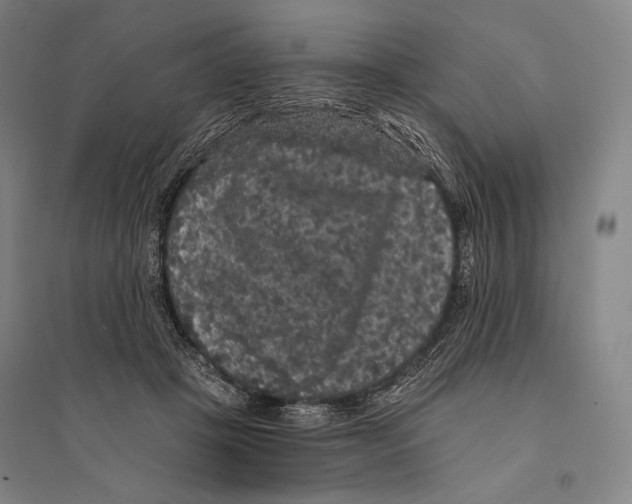 X0000095510457200801111417
