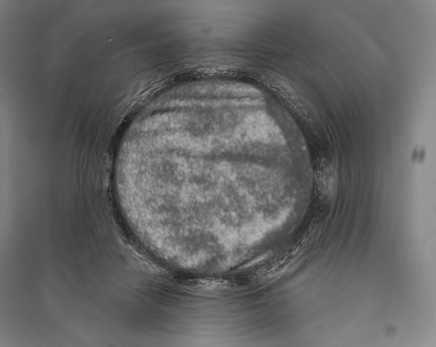 X0000095510458200801111417
