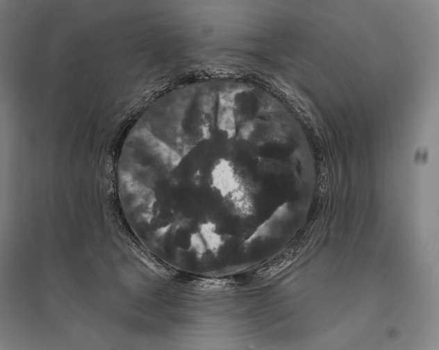 X0000095510465200801111417