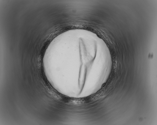 X0000095510466200801111417