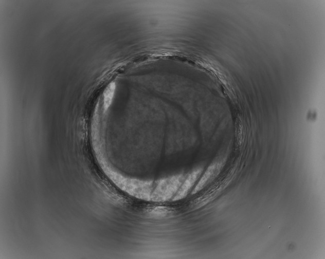 X0000095510467200801111417