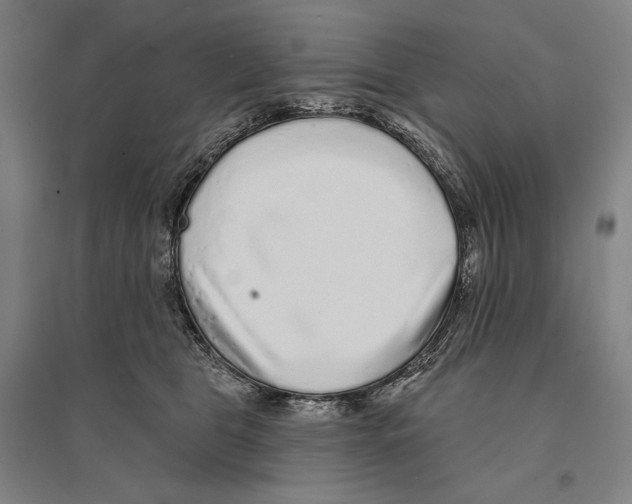 X0000095510469200801111417