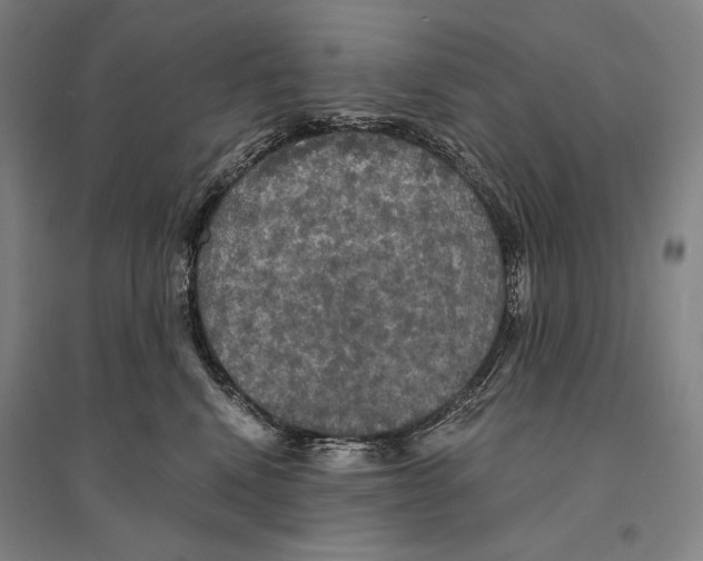 X0000095510472200801111417