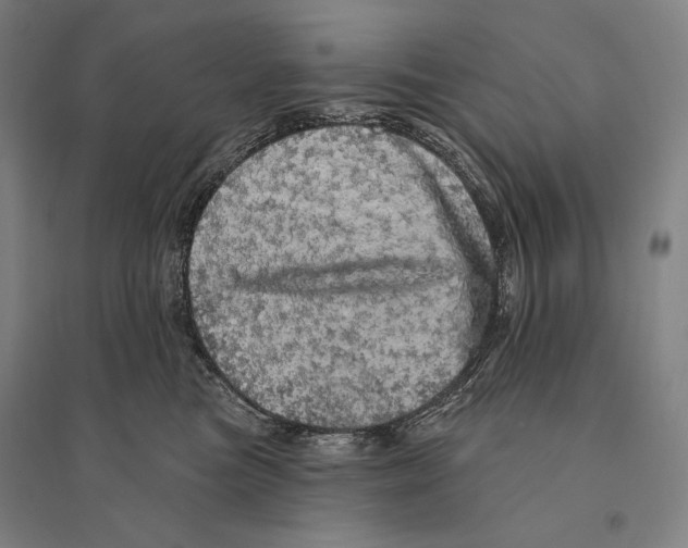X0000095510473200801111417