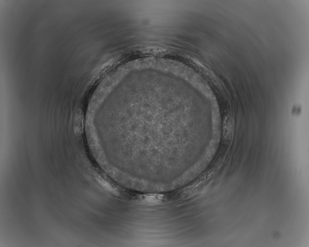 X0000095510474200801111417