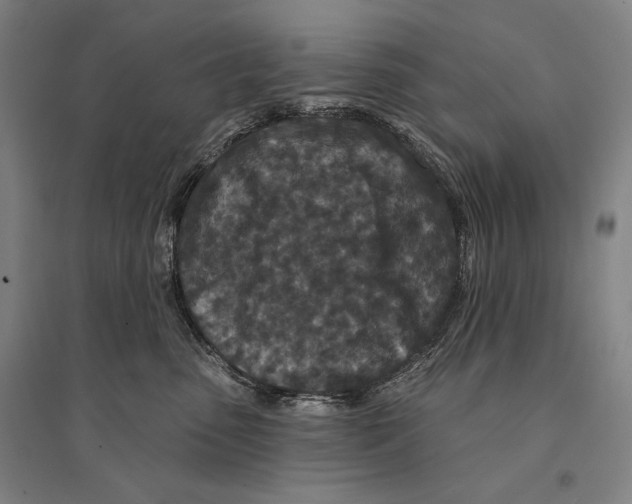 X0000095510475200801111417