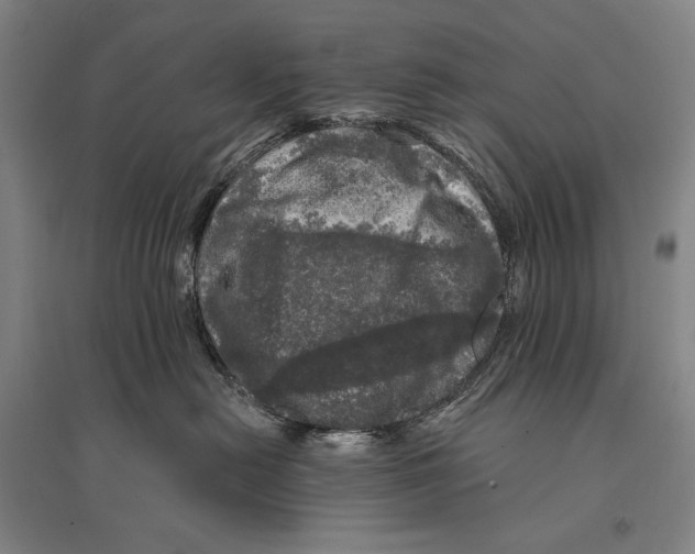 X0000095510478200801111417