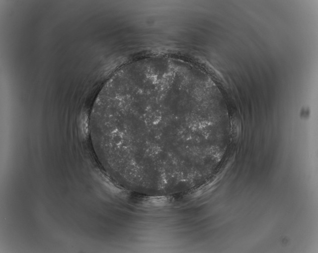 X0000095510479200801111417