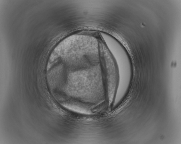 X0000095510481200801111416