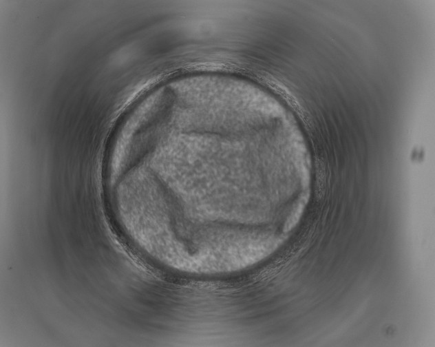 X0000095510482200801111416