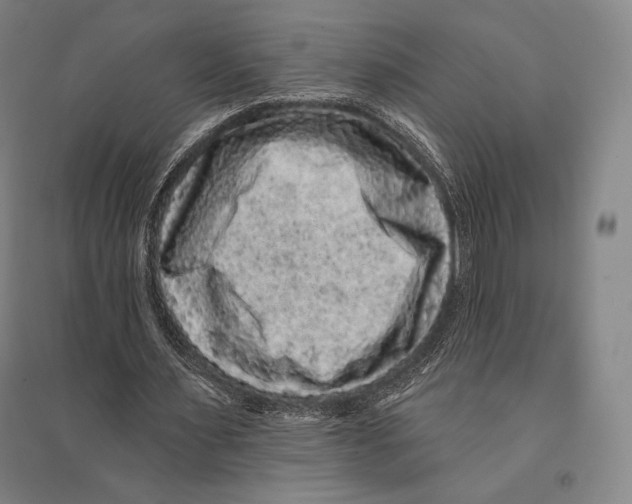 X0000095510483200801111416