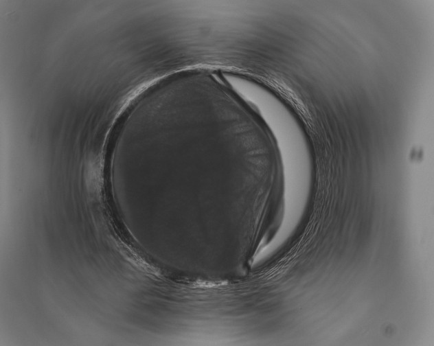 X0000095510484200801111416