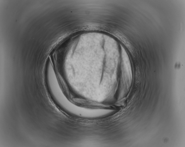 X0000095510485200801111416