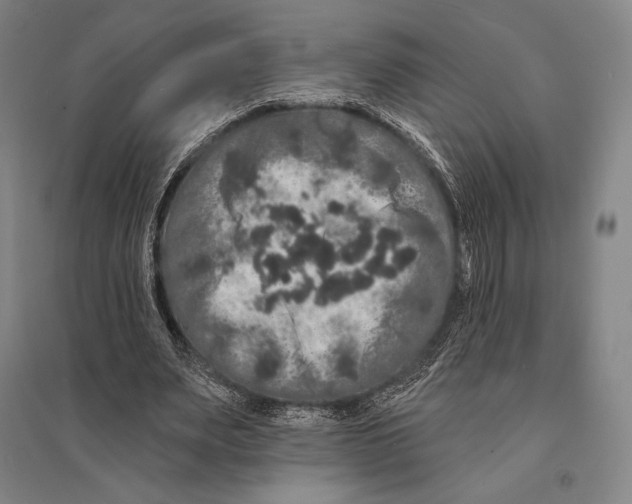 X0000095510487200801111416