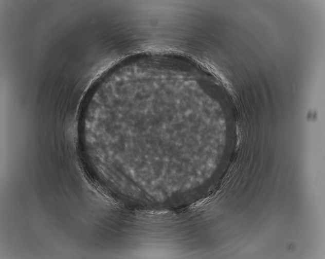 X0000095510488200801111416