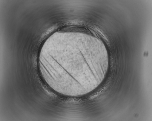 X0000095510489200801111416