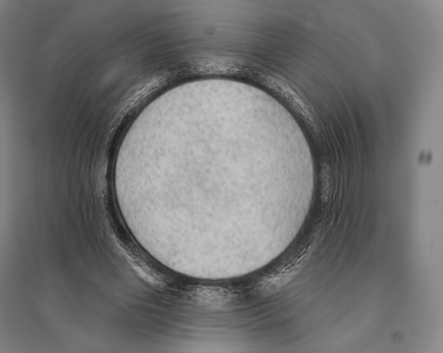 X0000095510490200801111416