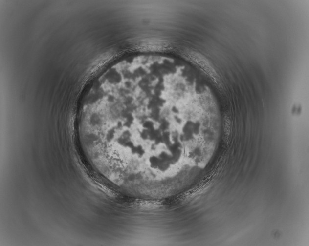 X0000095510491200801111416