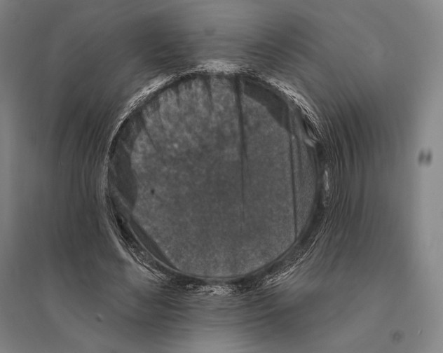 X0000095510492200801111416