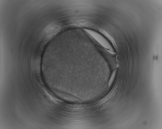 X0000095510493200801111416