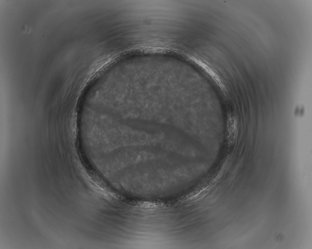 X0000095510494200801111416
