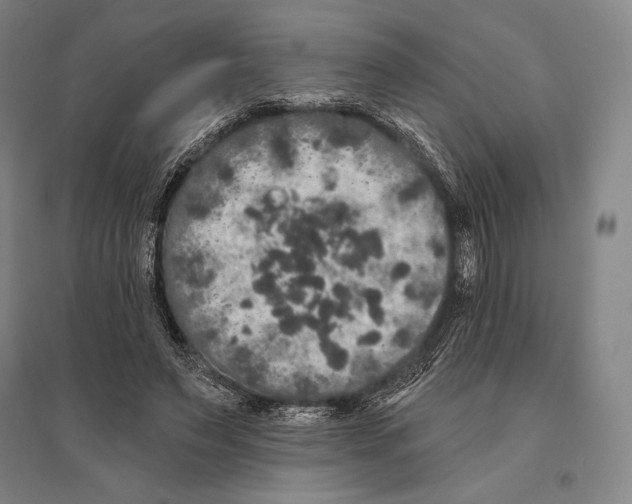 X0000095510495200801111416