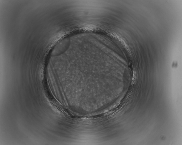 X0000095510496200801111416