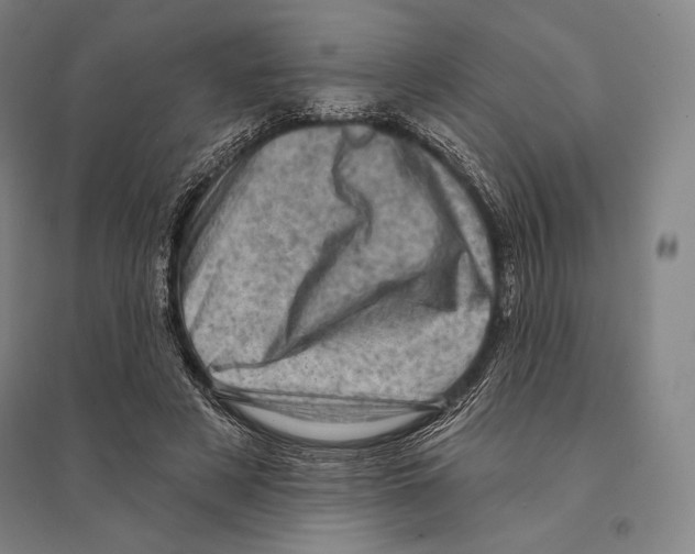 X0000095510497200801111416