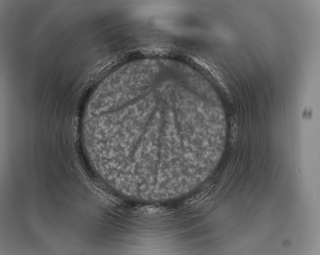 X0000095510498200801111416