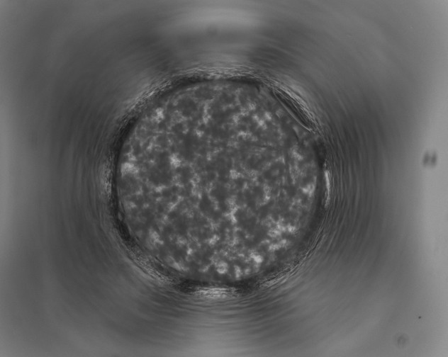 X0000095510499200801111416